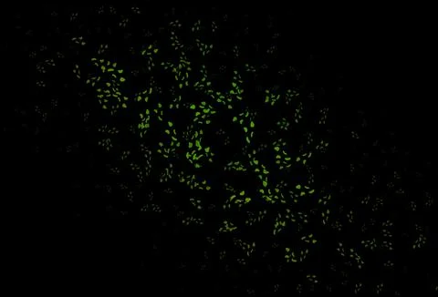 Dark Black vector pattern with chaotic shapes. Stock Illustration