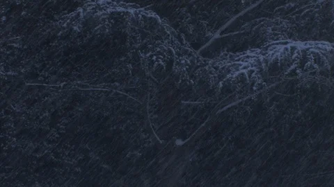 Dark blizzard zoom out of trees Stock-Footage 91752957