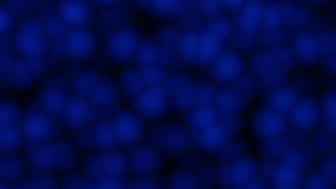 Dark Blue Abstract Cells Seamless Loop - Microscopic Biological Pattern Stock Footage 340433406