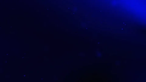 Dark blue background features small scattered bright points. Stock Footage 310796164