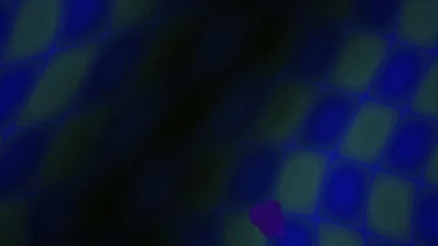 Dark blue background with green spots and purple dots. Stock Footage 336694096