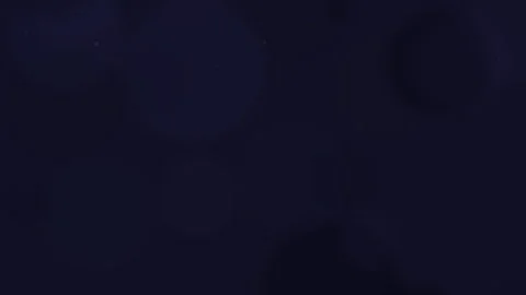 Dark Blue Background with Subtle Bokeh Light Effect and Smooth Texture Stock Footage 310942994