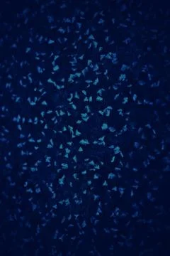 DARK BLUE BACKGROUND TEXTURE FOR GRAPHIC DESIGN Stock Illustration