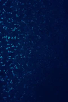 DARK BLUE BACKGROUND TEXTURE FOR GRAPHIC DESIGN 스톡 일러스트