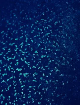 DARK BLUE BACKGROUND TEXTURE FOR GRAPHIC DESIGN Stock Illustration