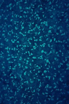 DARK BLUE BACKGROUND TEXTURE FOR GRAPHIC DESIGN Stock Illustration