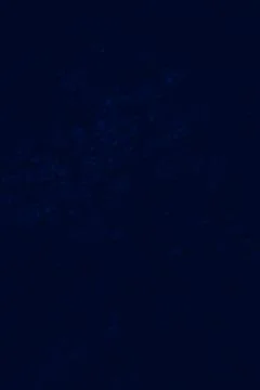 Dark blue background texture for graphic design Stock Photos