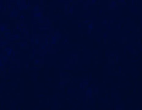Dark blue background texture for graphic design Stock Photos