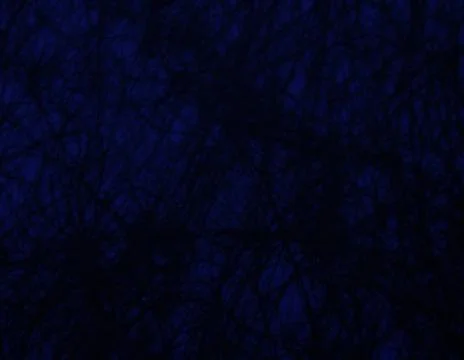 Dark blue background texture for graphic design Stock Photos