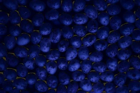 Dark blue eggs stones in shadow of light Illustrazione stock