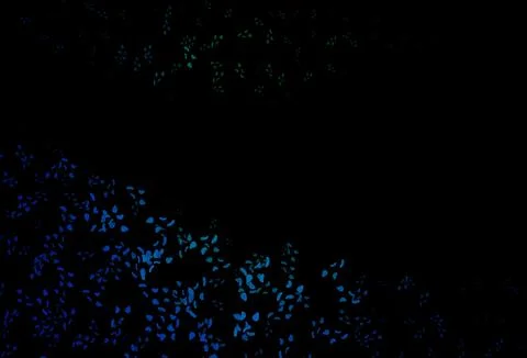 Dark Blue, Green vector background with abstract forms. 스톡 일러스트