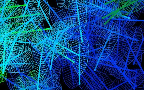 Dark Blue, Green vector elegant pattern with leaves. Stock Illustration