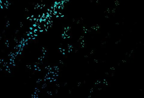 Dark Blue, Green vector pattern with chaotic shapes. Stock Illustration