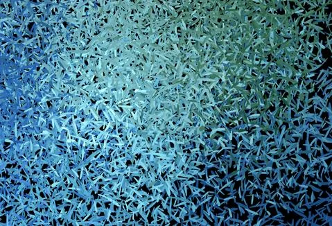 Dark Blue, Green vector pattern with sharp lines. イラスト素材