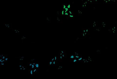 Dark Blue, Green vector pattern with chaotic shapes. 스톡 일러스트