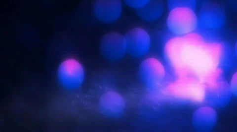 Dark blue inflorescence Stock Footage 750014