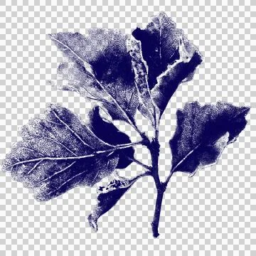 Dark blue leaf shadow overlay for creative graphic design and natural photograph 库存插图