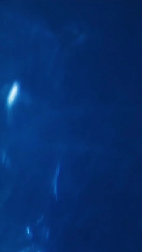 Dark blue liquid surface moving with soft ripples and gentle waves in a vertical Stock-Footage 347692600