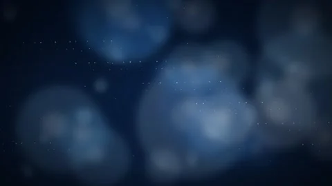 Dark Blue Moving Particles Bokeh Abstract Background 스톡 동영상 344056761