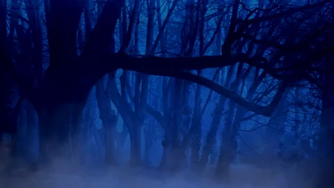 Dark blue mystical forest with flying particles as background Stock Footage
