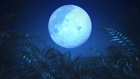 Dark blue night starry sky. Bright glowing Full moon. Moonshine 스톡 동영상 163552695