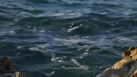 Dark blue ocean waves rippling gently past rugged rocky shores. Stock Footage 337406088