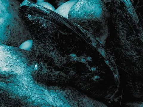 Dark Blue Organic Texture Inspired by Marine Shells Stock Photos