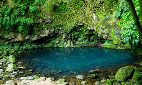 Dark Blue Pond Stock Photos