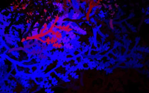 Dark Blue, Red vector abstract backdrop with trees, branches. Stock Illustration