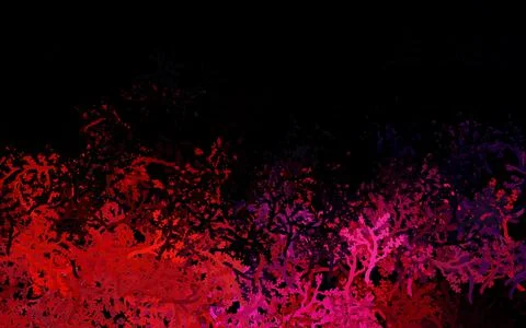 Dark Blue, Red vector elegant pattern with trees, branches. Stockillustratie