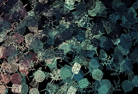 Dark Blue, Red vector elegant pattern with trees, branches. 스톡 일러스트