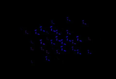 Dark Blue, Red vector pattern with sharp lines. 库存插图