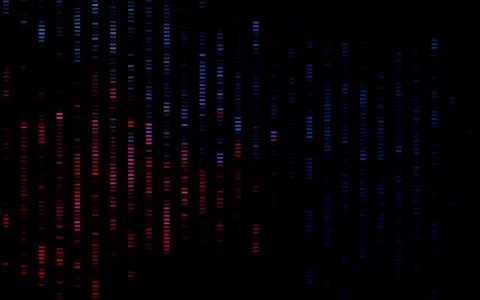 Dark Blue, Red vector texture with colored lines. 스톡 일러스트