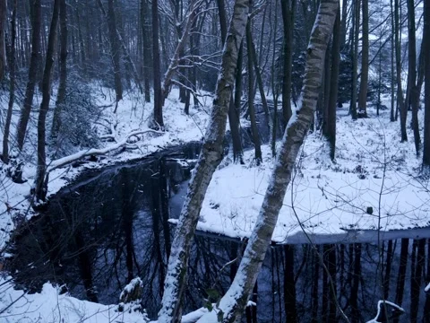 Dark blue river in the forest with snow covered sorroundings Stock Footage 342543727