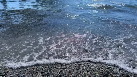 Dark blue sea waves foaming on the shore with sunlight reflections sparkling Stock Footage 310236431