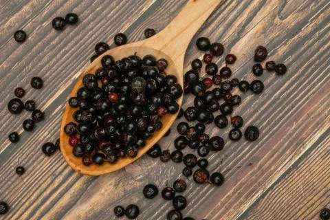 Dark blue small grapes or Vaccinium meridionale, agraz, close up. Stock Photos