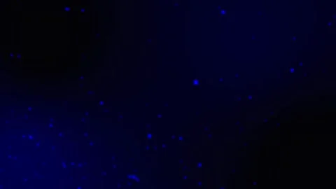 Dark Blue Space with Floating Blue Particles and Sparkles Stock Footage 327477182