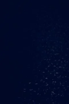 Dark blue texture background for graphic design Stock Photos
