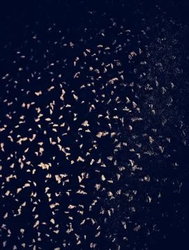 Dark blue texture background for graphic design Stock Photos