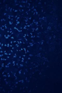 Dark blue texture background for graphic design Stock Photos