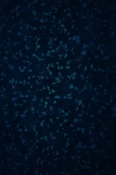 Dark blue texture background for graphic design Stock Photos