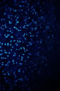Dark blue texture background for graphic design Stock Photos