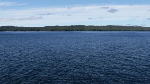 Dark blue water of the Inside Passage accent the forested pine shoreline Stock Footage 208149402