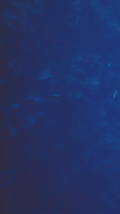 Dark blue water with light reflections and subtle patterns visible Video stock 339506961