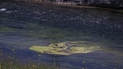 Dark Blue Water of Madison River Stock Footage 86756403