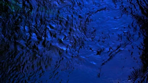 Dark blue water ripples with tree silhouettes from underwater Stock Footage 336400808