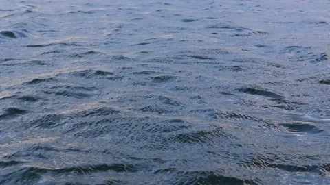 Dark blue water surface of a lake, sea, ocean with waves, ripples and sun glare Stock Footage 244728380