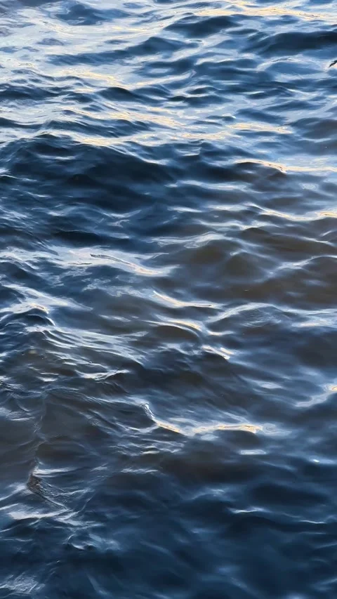 Dark blue water surface with ripples and light reflection vertical Stock Footage 317630342