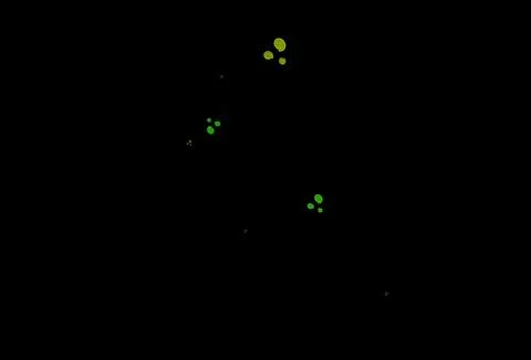 Dark Blue, Yellow vector pattern with curved circles. Stock Illustration