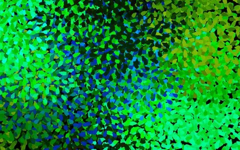 Dark Blue, Yellow vector pattern with random forms. 库存插图
